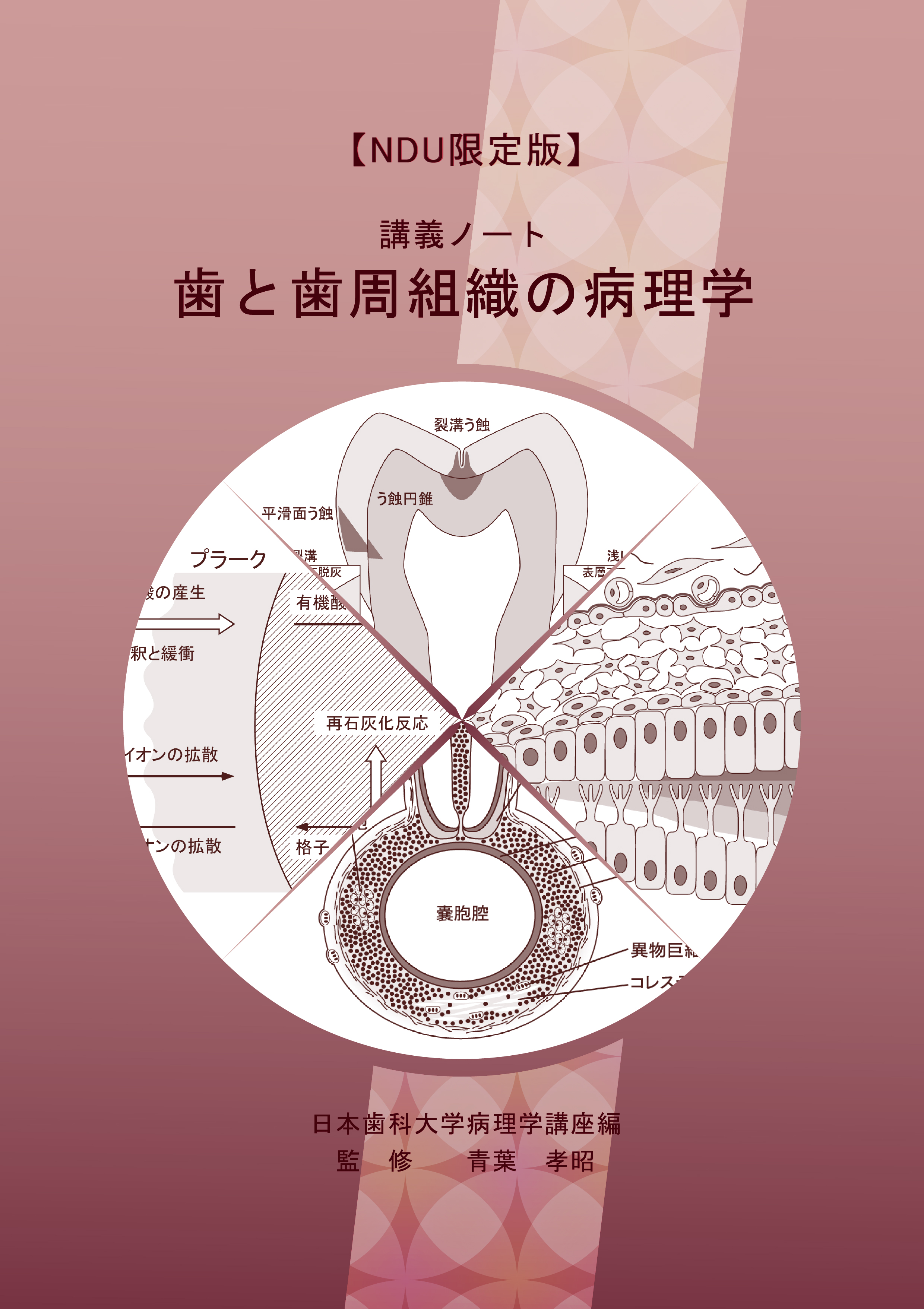 講義ノート　歯と歯周組織の病理学 【NDU限定版】