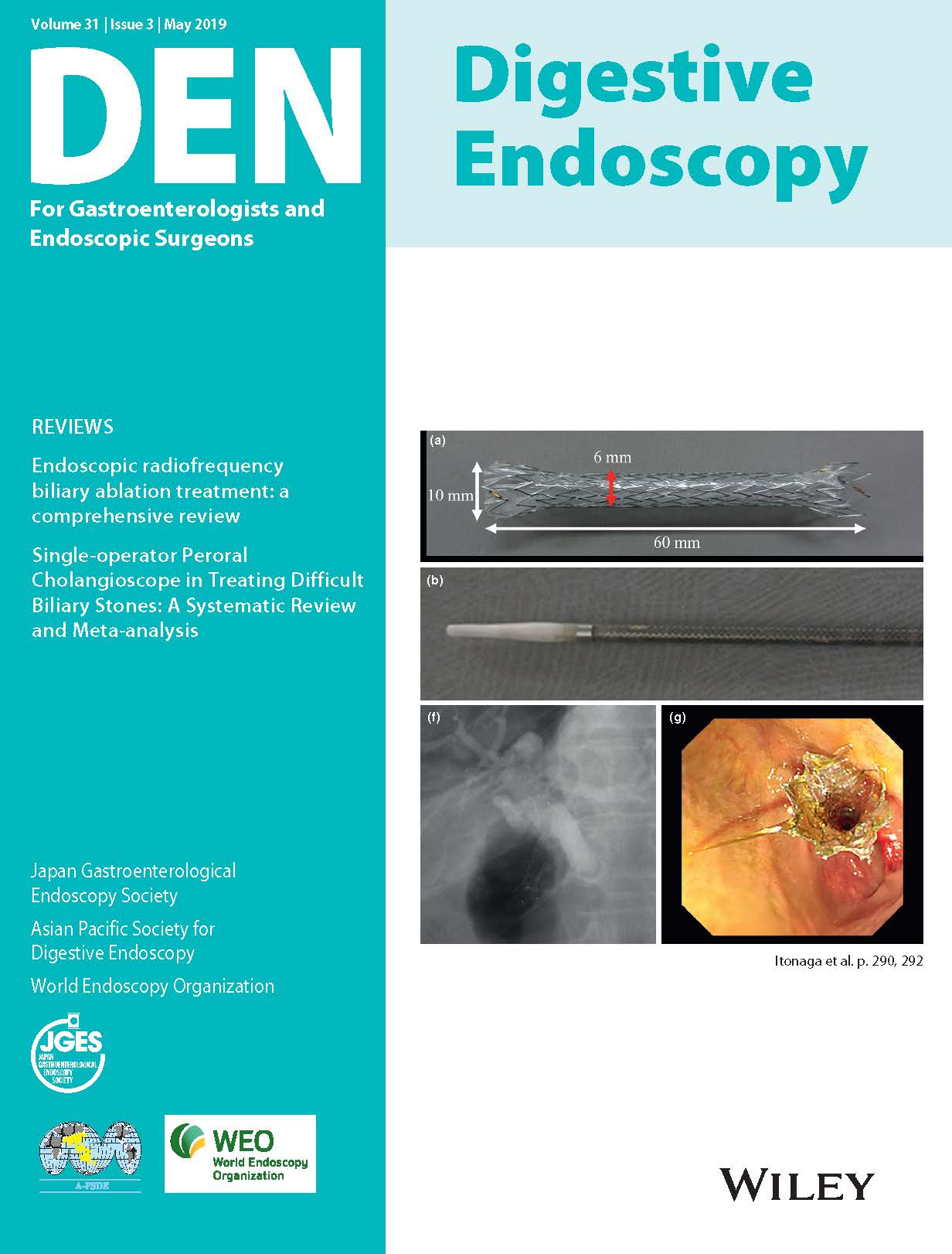 Digestive Endoscopy Vol31-3