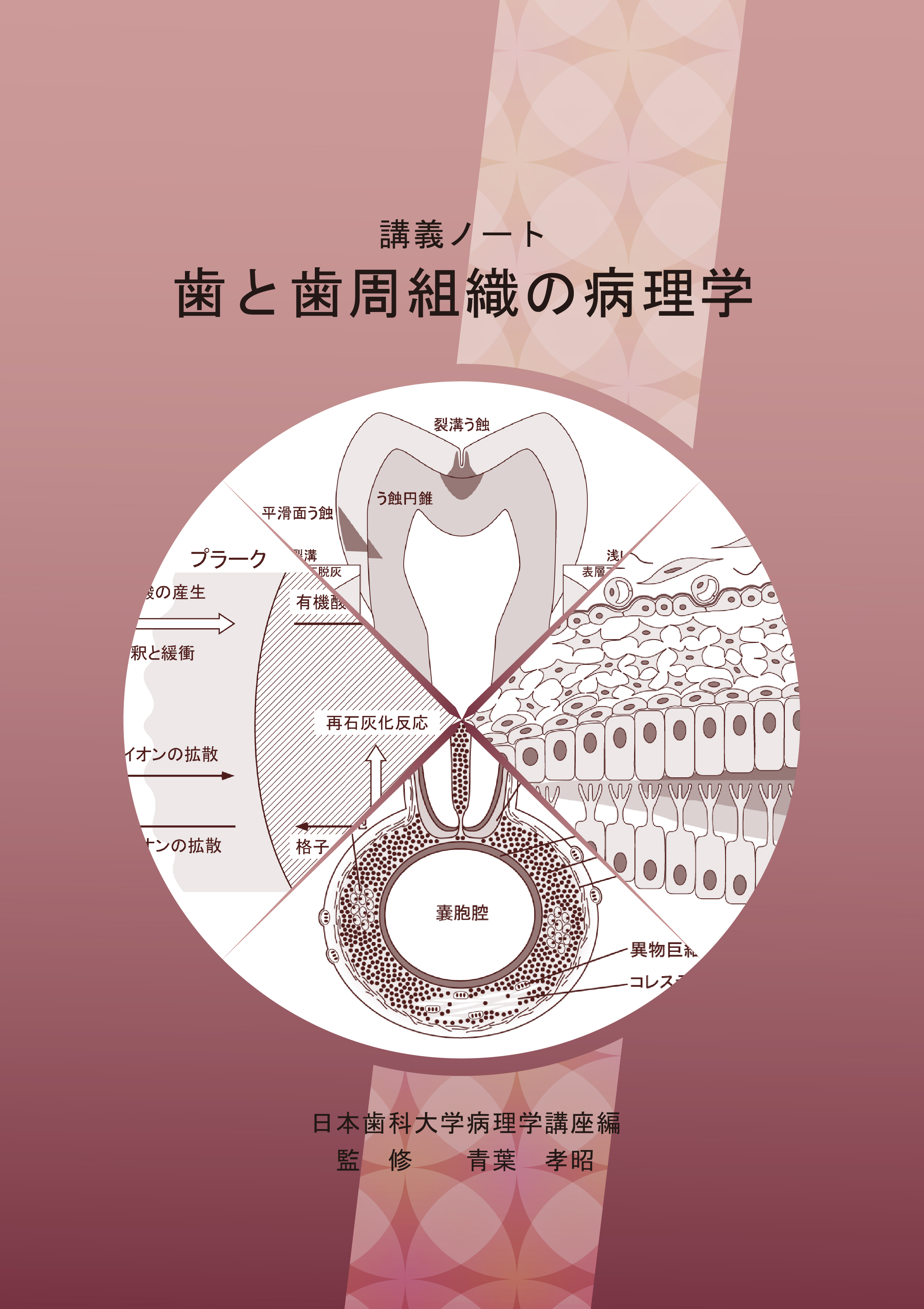 講義ノート　歯と歯周組織の病理学